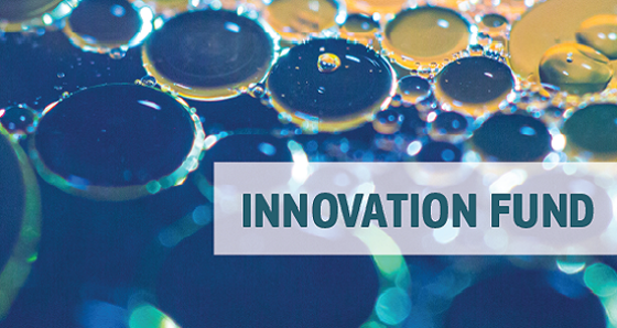 Hydrogen Auction - Initiative to increase the development of hydrogen-related projects across the EU.